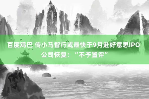 百度鸡巴 传小马智行或最快于9月赴好意思IPO 公司恢复：“不予置评”