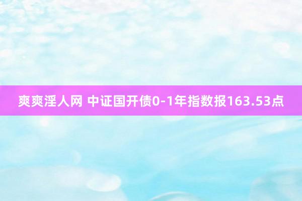 爽爽淫人网 中证国开债0-1年指数报163.53点