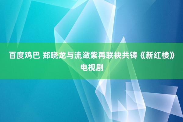 百度鸡巴 郑晓龙与流潋紫再联袂共铸《新红楼》电视剧