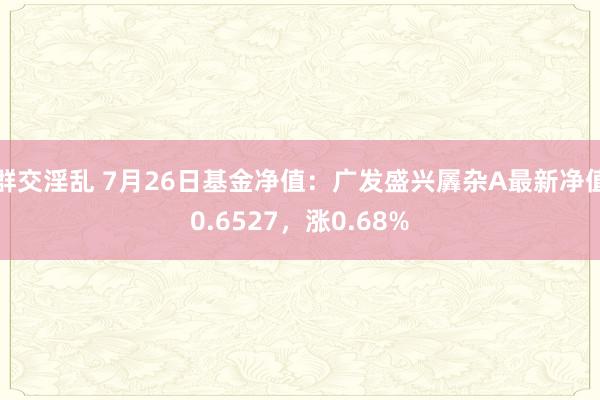 群交淫乱 7月26日基金净值：广发盛兴羼杂A最新净值0.6527，涨0.68%