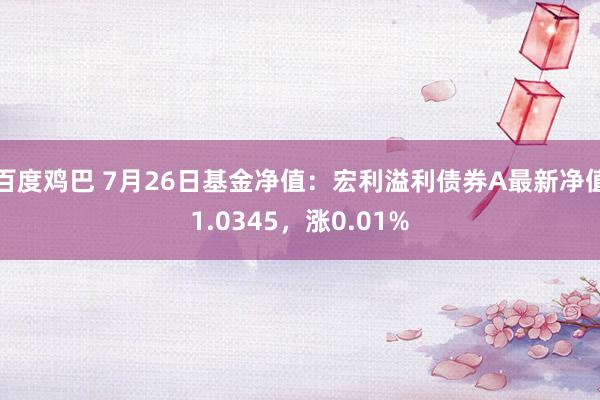 百度鸡巴 7月26日基金净值：宏利溢利债券A最新净值1.0345，涨0.01%