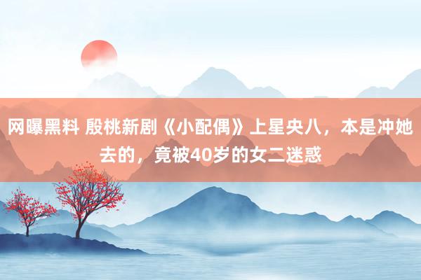 网曝黑料 殷桃新剧《小配偶》上星央八，本是冲她去的，竟被40岁的女二迷惑