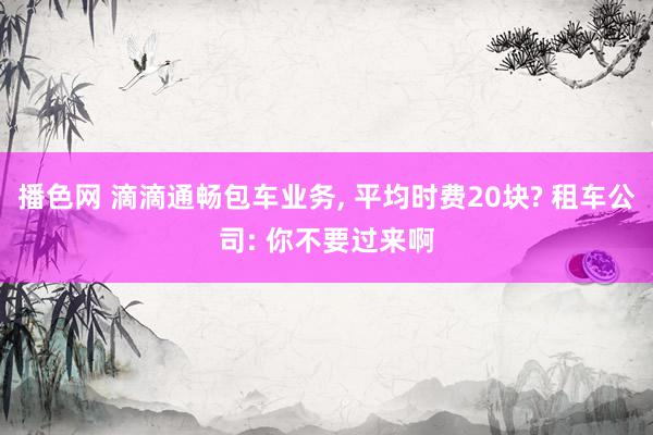 播色网 滴滴通畅包车业务, 平均时费20块? 租车公司: 你不要过来啊