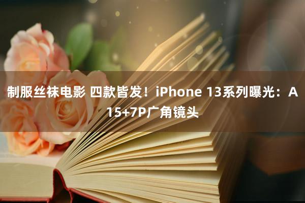 制服丝袜电影 四款皆发！iPhone 13系列曝光：A15+7P广角镜头