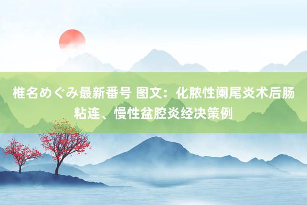 椎名めぐみ最新番号 图文：化脓性阑尾炎术后肠粘连、慢性盆腔炎经决策例