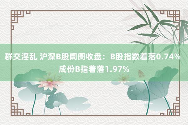 群交淫乱 沪深B股阛阓收盘：B股指数着落0.74% 成份B指着落1.97%