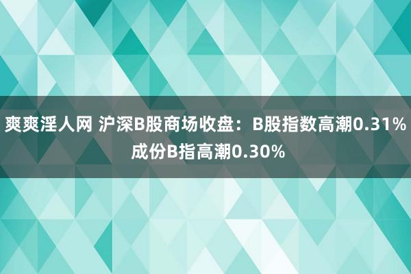 爽爽淫人网 沪深B股商场收盘：B股指数高潮0.31% 成份B指高潮0.30%