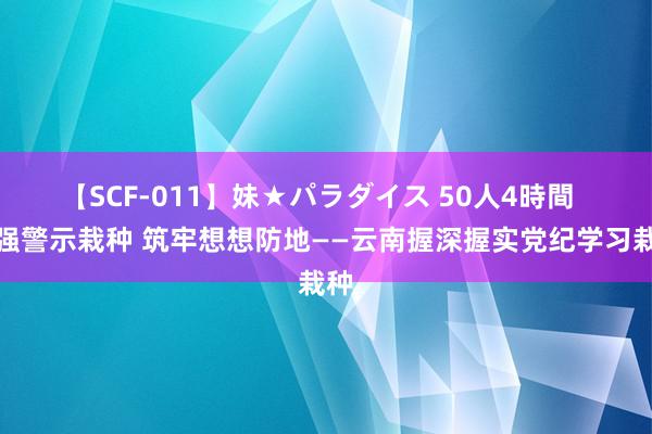 【SCF-011】妹★パラダイス 50人4時間  加强警示栽种 筑牢想想防地——云南握深握实党纪学习栽种