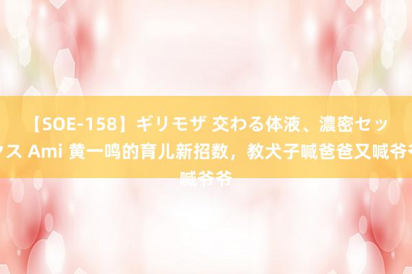 【SOE-158】ギリモザ 交わる体液、濃密セックス Ami 黄一鸣的育儿新招数，教犬子喊爸爸又喊爷爷