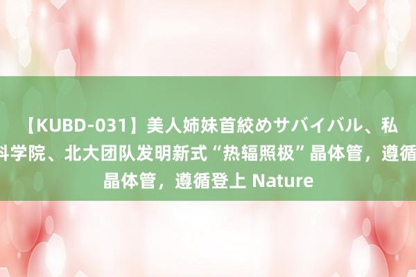 【KUBD-031】美人姉妹首絞めサバイバル、私生きる 中国科学院、北大团队发明新式“热辐照极”晶体管，遵循登上 Nature