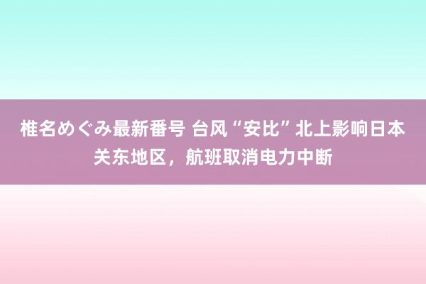 椎名めぐみ最新番号 台风“安比”北上影响日本关东地区，航班取消电力中断