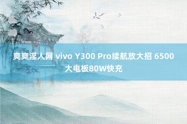 爽爽淫人网 vivo Y300 Pro续航放大招 6500大电板80W快充