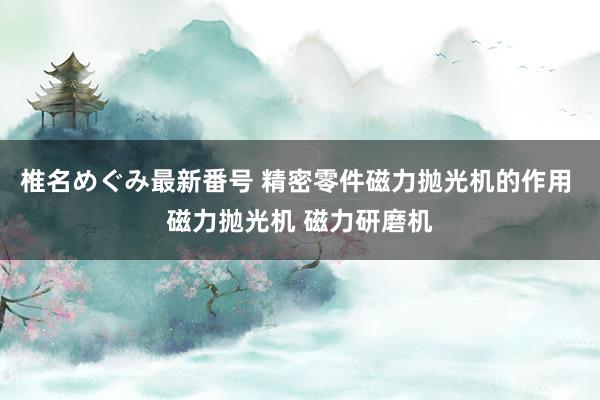 椎名めぐみ最新番号 精密零件磁力抛光机的作用 磁力抛光机 磁力研磨机