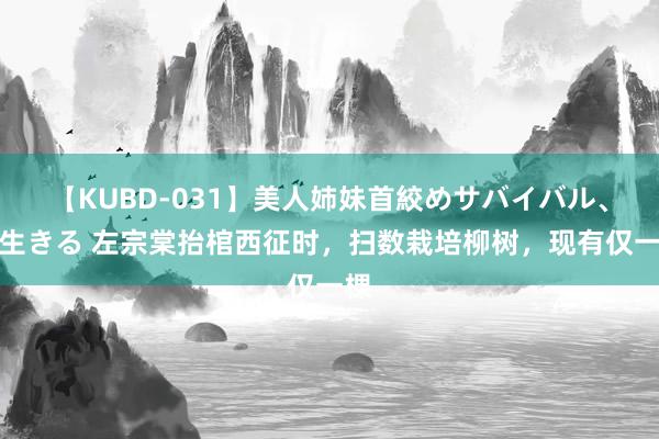 【KUBD-031】美人姉妹首絞めサバイバル、私生きる 左宗棠抬棺西征时，扫数栽培柳树，现有仅一棵