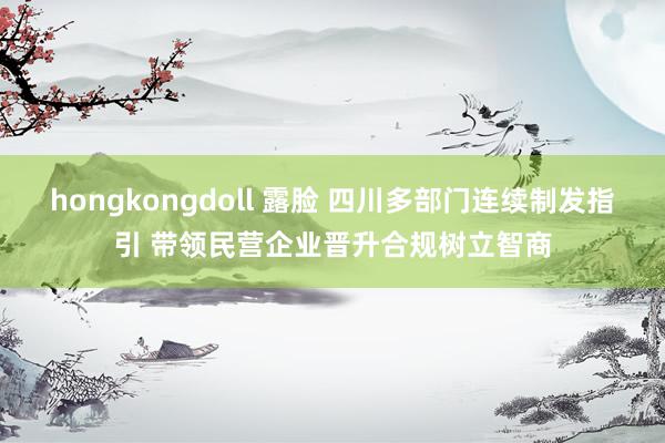 hongkongdoll 露脸 四川多部门连续制发指引 带领民营企业晋升合规树立智商