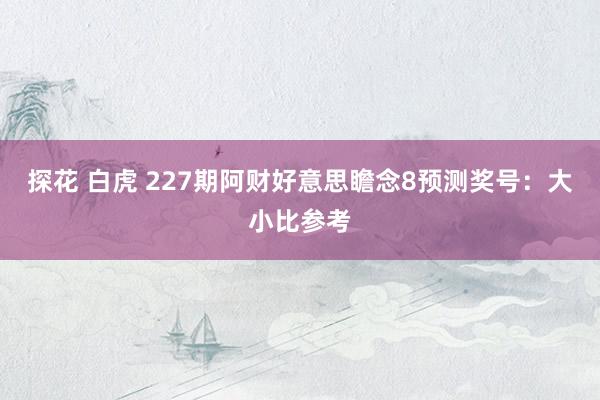 探花 白虎 227期阿财好意思瞻念8预测奖号：大小比参考