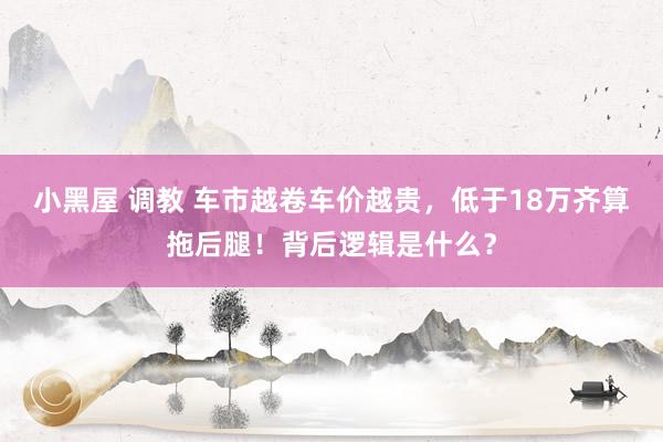 小黑屋 调教 车市越卷车价越贵，低于18万齐算拖后腿！背后逻辑是什么？