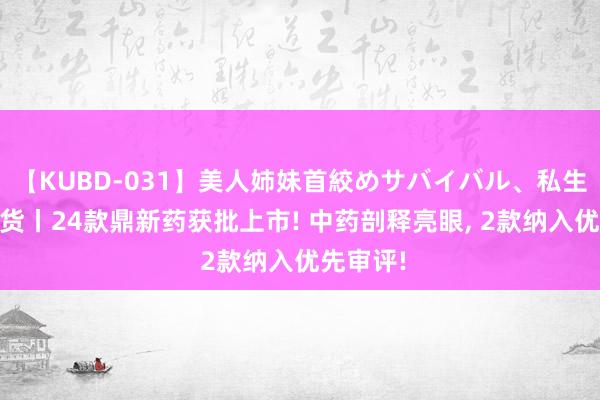 【KUBD-031】美人姉妹首絞めサバイバル、私生きる 盘货丨24款鼎新药获批上市! 中药剖释亮眼, 2款纳入优先审评!